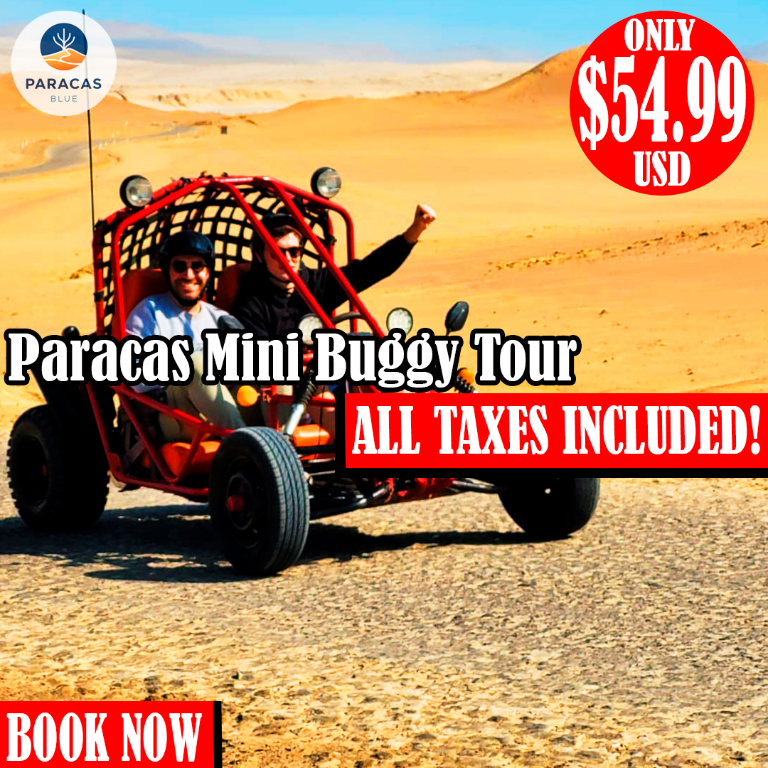 Aventura Privada en Mini Buggy por la Reserva de Paracas