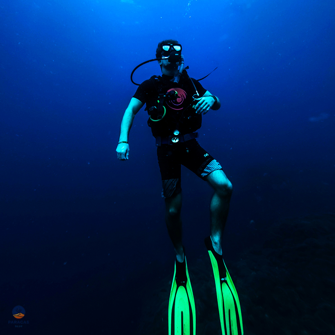 DIVING_04
