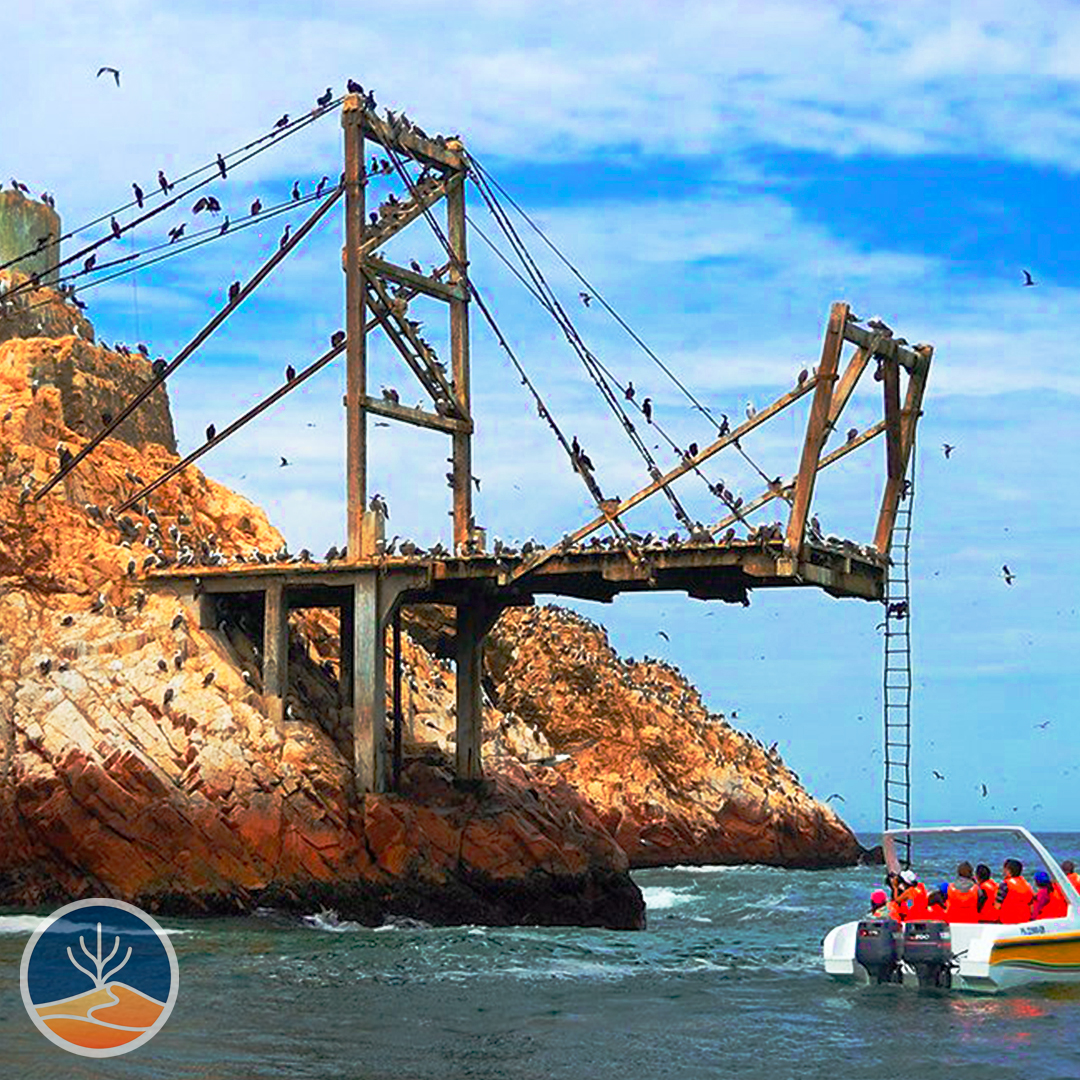 Plataforma de Carga Abandonada