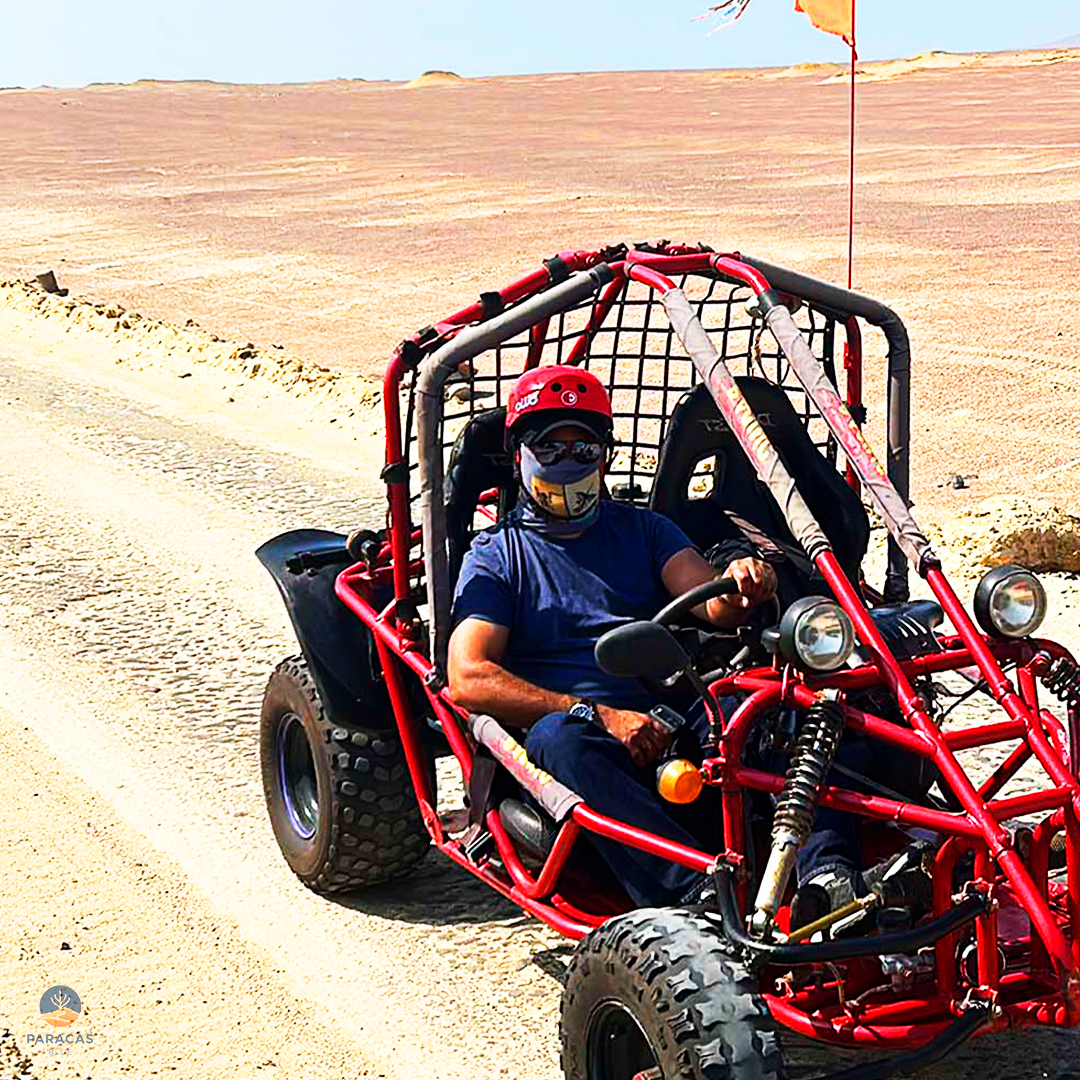 MINIBUGGY_02