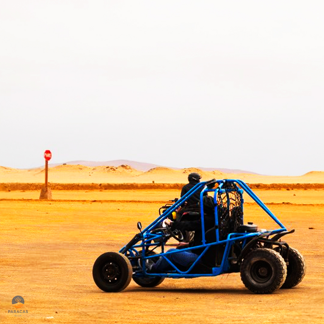MINIBUGGY_03
