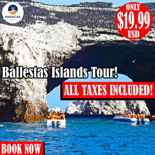 Tour Islas Ballestas - Promo Todo Incluido