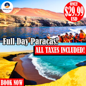 Fullday Paracas - Islas Ballestas + Reserva de Paracas