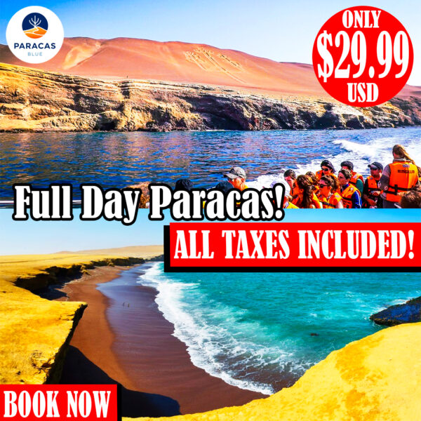 Fullday Paracas - Islas Ballestas + Reserva de Paracas