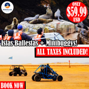 ¡Aventura y Adrenalina! Tour Ballestas + Minibuggys