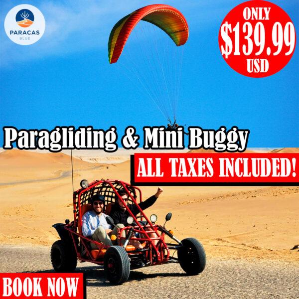 Combo Tierra y Aire en Paracas: Vuelo en Parapente + Aventura en Mini Buggy