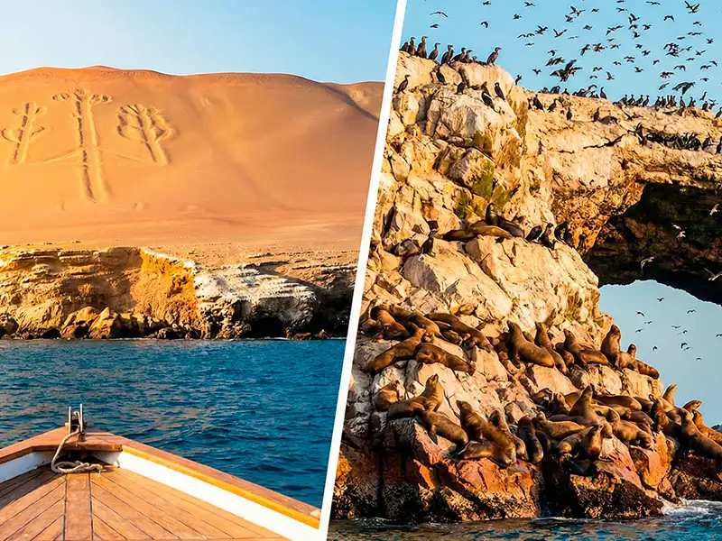 Composición fotográfica dividida: a la izquierda el geoglifo El Candelabro en la duna, a la derecha formaciones rocosas con lobos marinos y aves volando en Islas Ballestas.