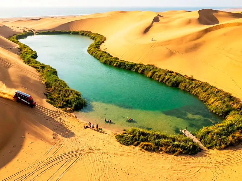 Laguna Costa Rica Paracas 2026 vista aérea dron - Oasis alargado totora dunas desierto costero expedición Semana Santa