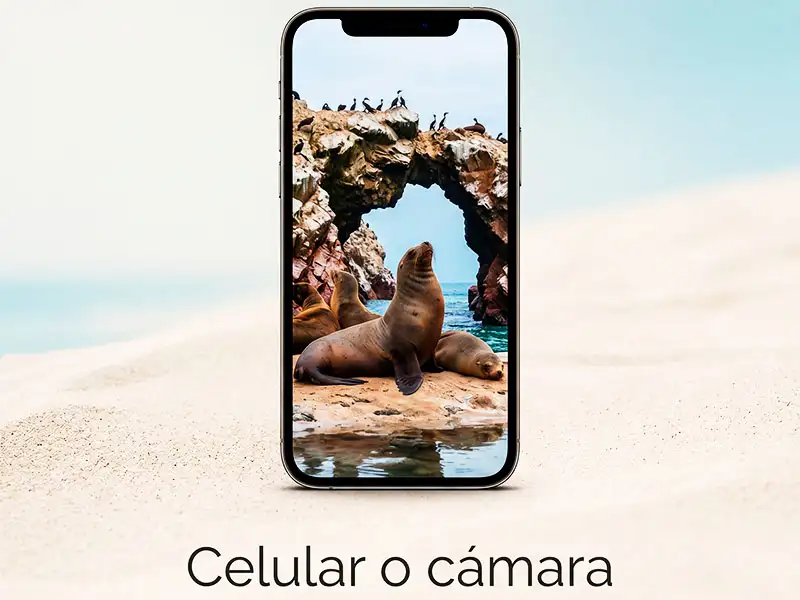 Celular o cámara para tomar fotos durante el tour.
