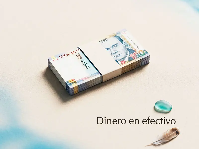 Dinero en efectivo para gastos pequeños durante la visita.