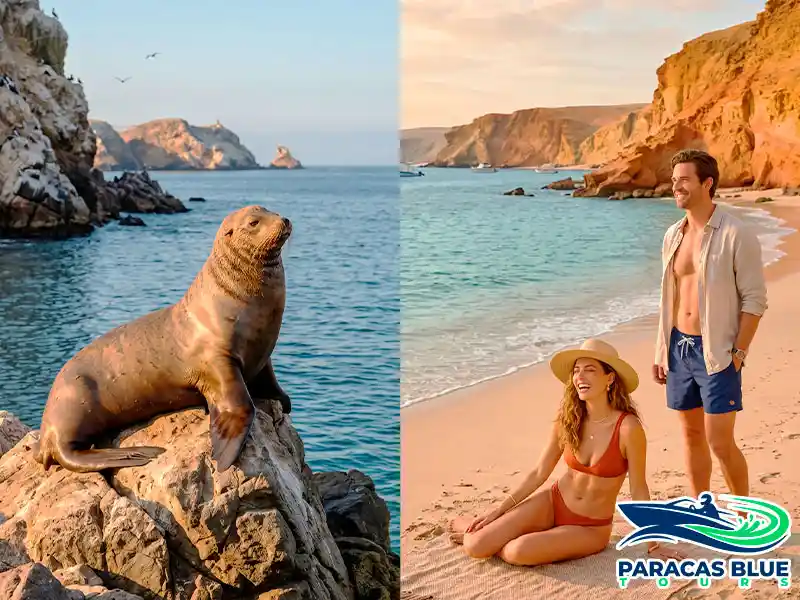Lobo marino sobre roca y pareja disfrutando Playa La Mina en la Reserva Nacional de Paracas