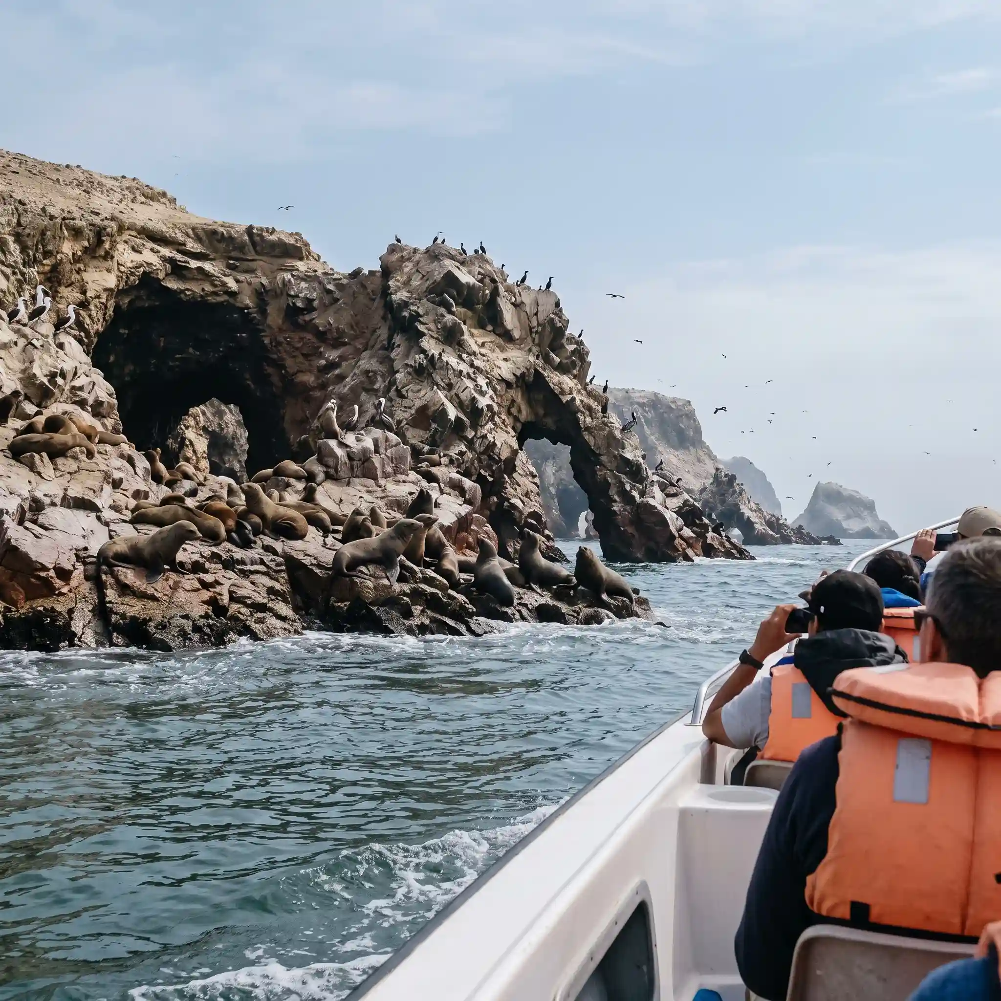 Una lancha turística pequeña/moderna en primer o segundo plano, navegando muy cerca de una formación rocosa de las Islas Ballestas