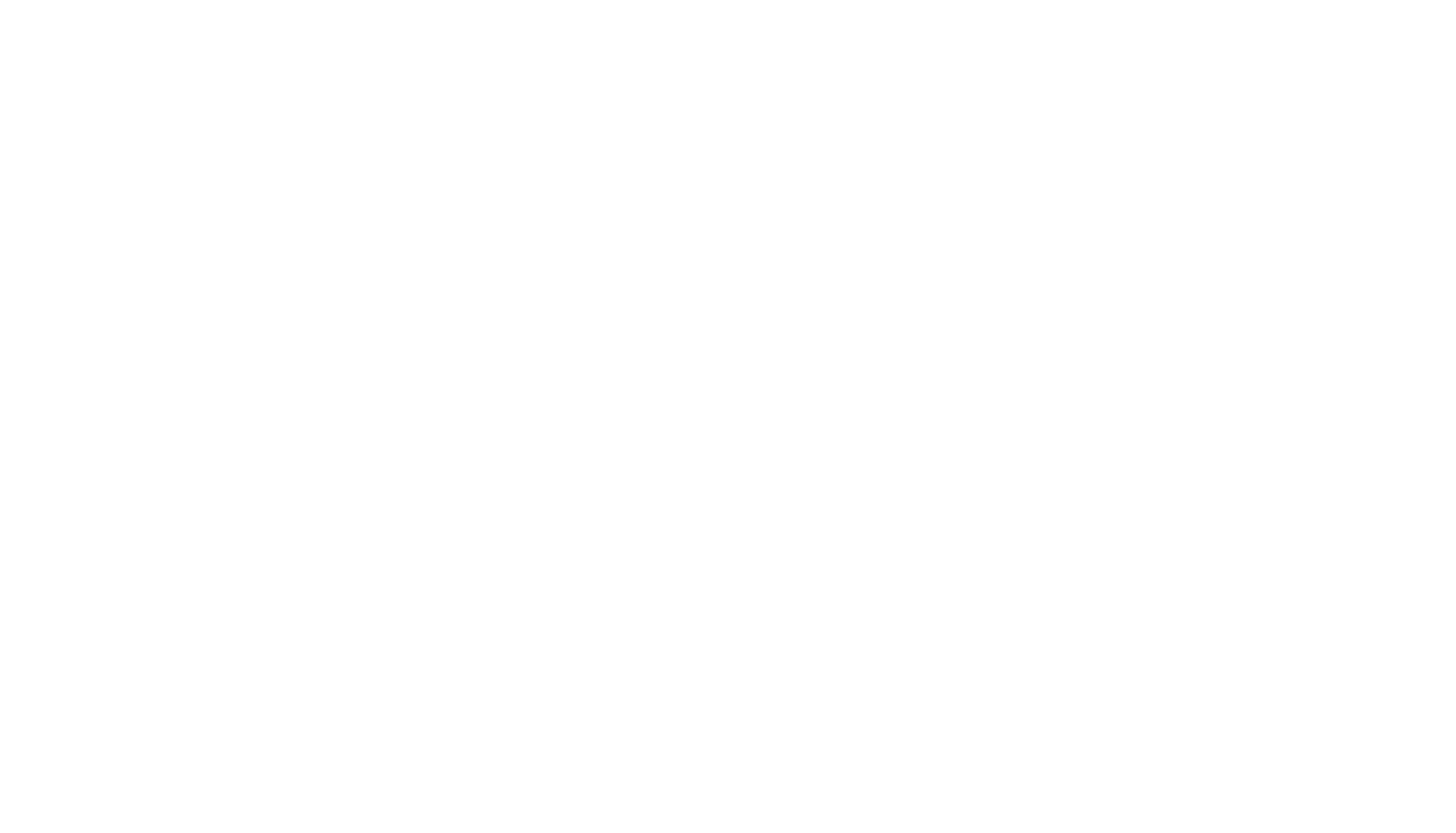 Logo Paracas Blue Tours Blanco